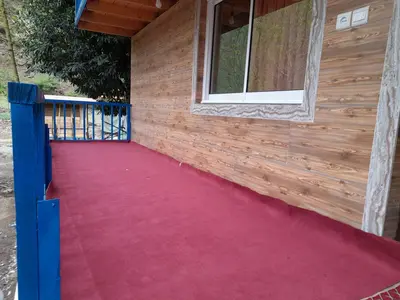 کلبه فلت دوبلکس جنگلی سلیم آباد