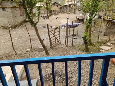 کلبه فلت دوبلکس جنگلی سلیم آباد