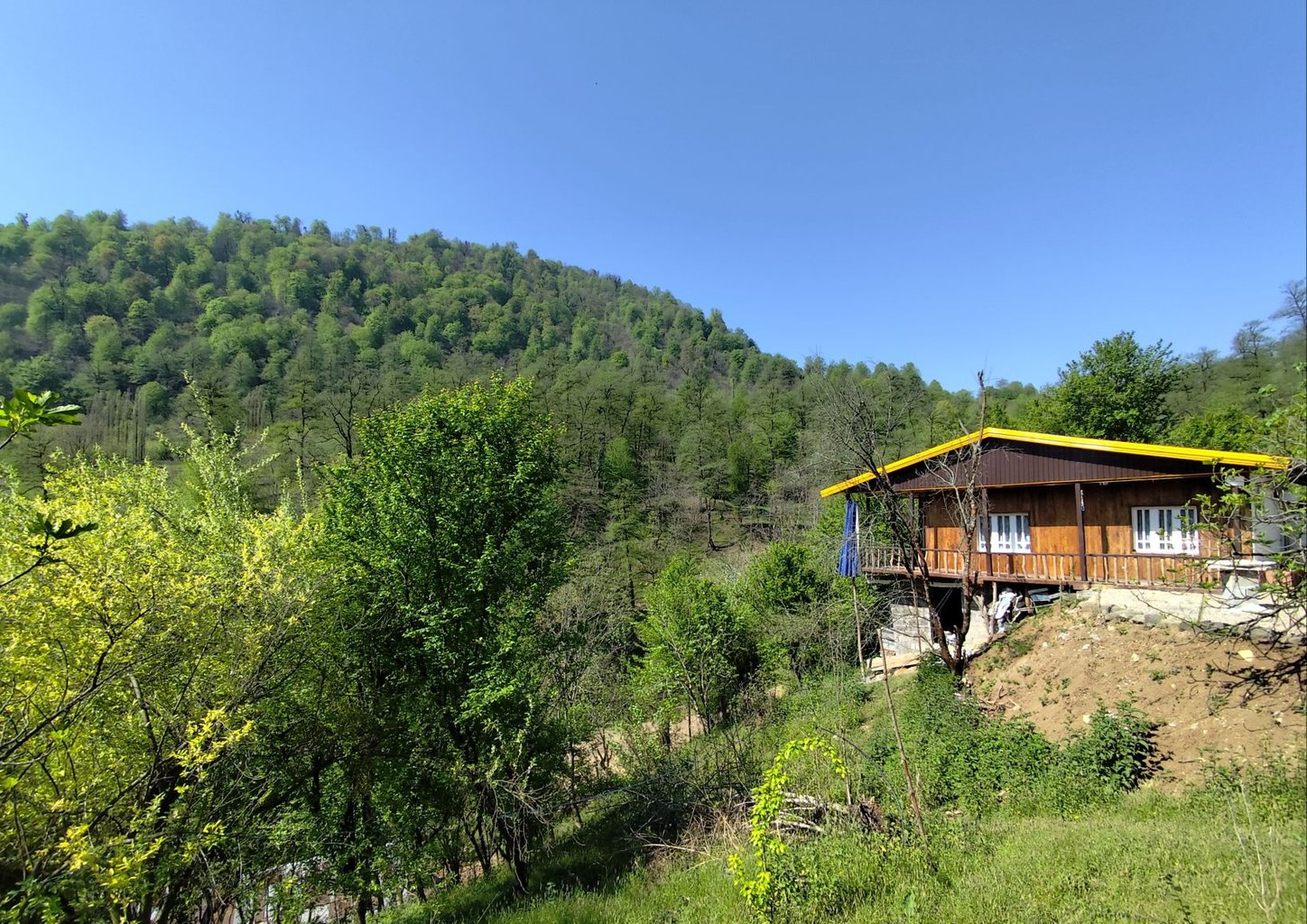 یک خوابه جنگلی نمدار لپور