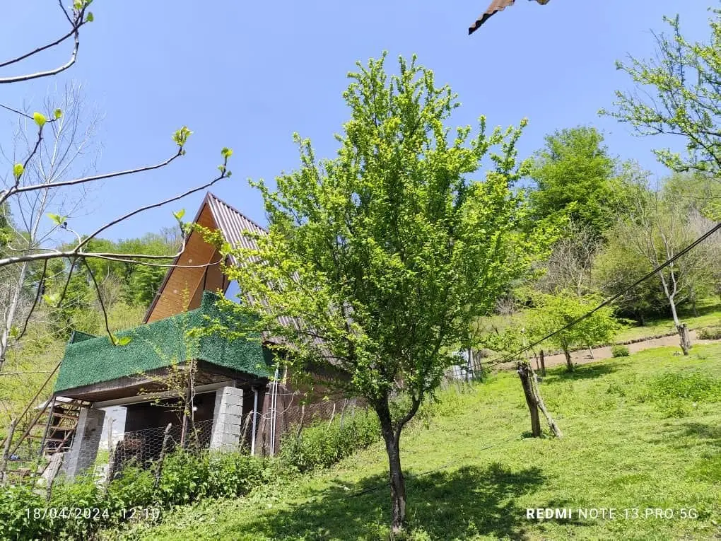 کلبه یک خوابه سوئیسی نمدار - تصویر پیش فرض