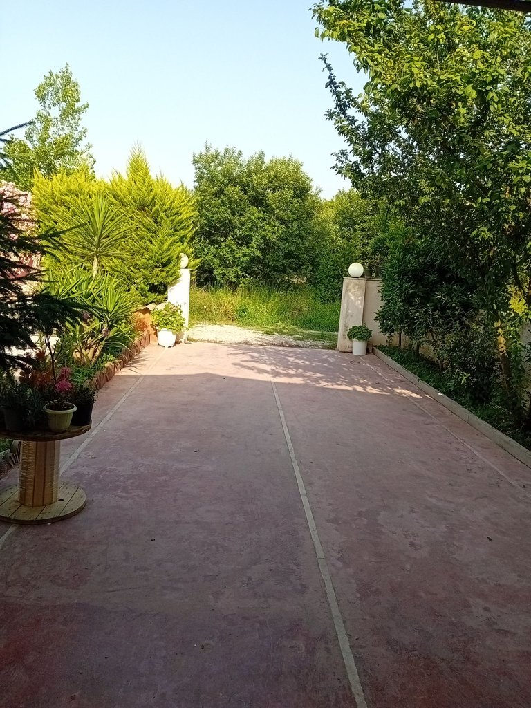 سوئیت دلنشین محمد طاها