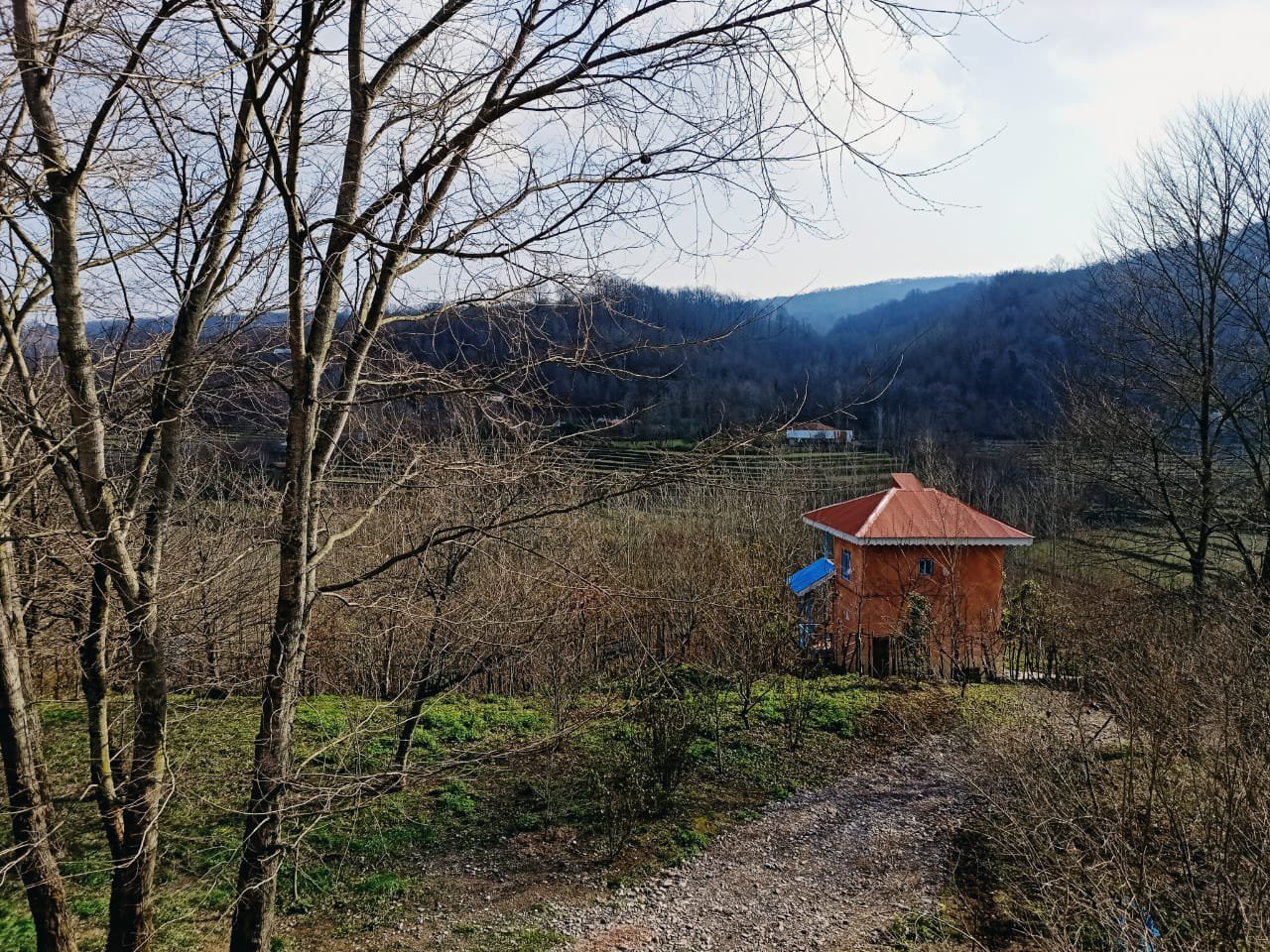 یک خوابه جنگلی فیروزه