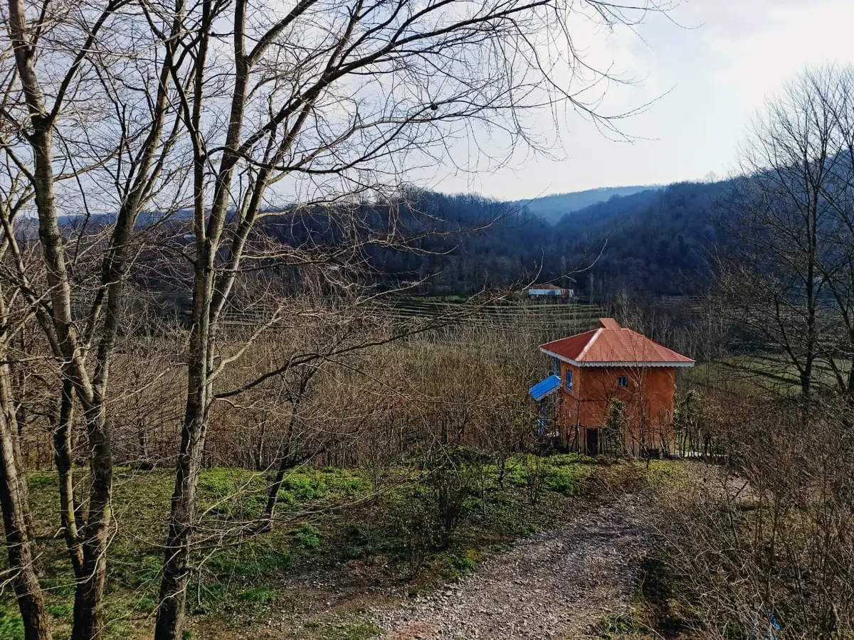 کلبه یک خوابه جنگلی فیروزه