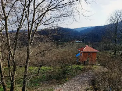 کلبه یک خوابه جنگلی فیروزه