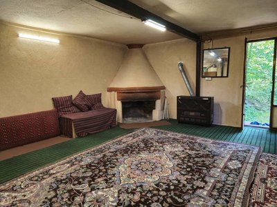 کلبه فلت جنگلی عمو وجی