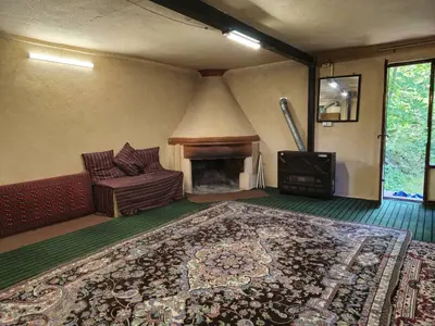 کلبه فلت جنگلی عمو وجی