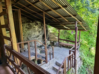 کلبه فلت جنگلی عمو وجی