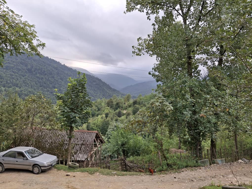 ویلا ویلایی در دل جنگل رشت