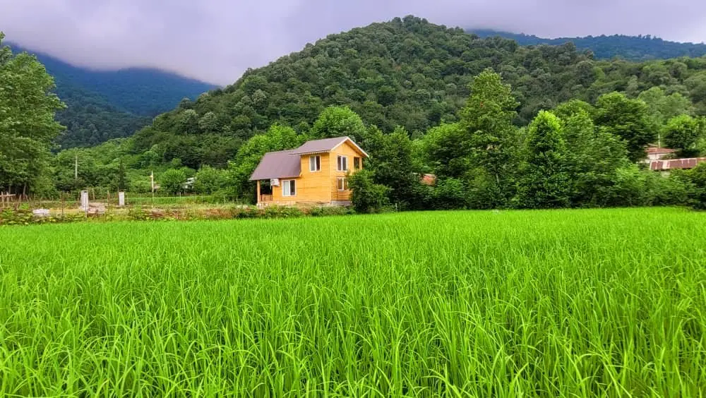 کلبه یک خوابه آوای باران