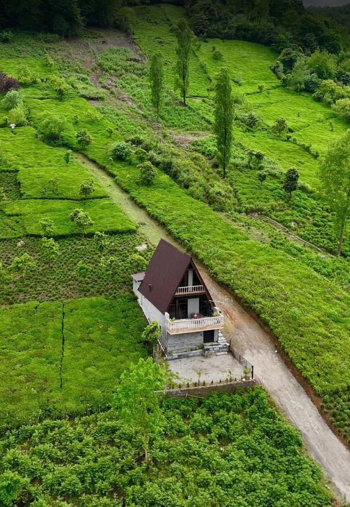 یک خوابه سوئیسی چای