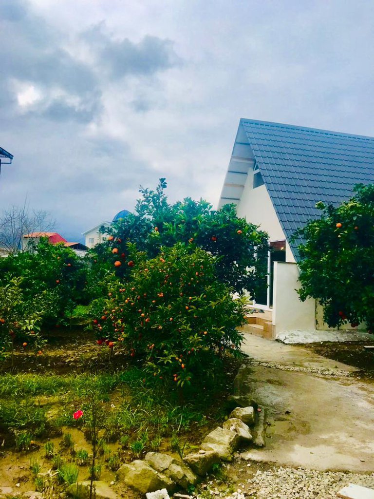 دوخوابه جنگلی حامد