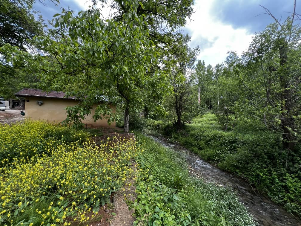 کلبه فلت جنگلی کندلوس ۱