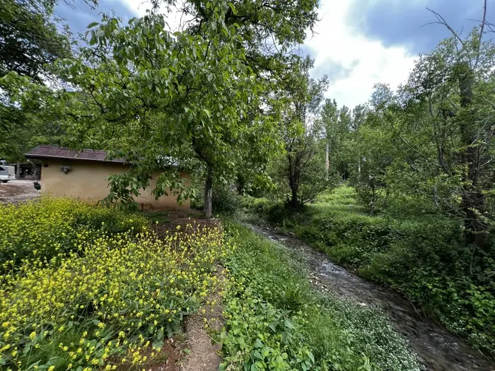 کلبه فلت جنگلی کندلوس ۱