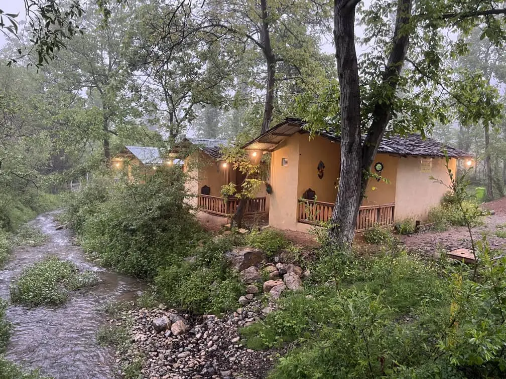 کلبه فلت جنگلی کندلوس ۲