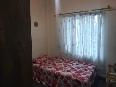 ویلا یک خوابه جنگلی سبز