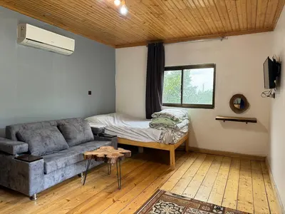 کلبه فلت ویشارده