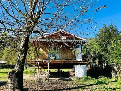 کلبه دوخوابه جنگلی مصطفی