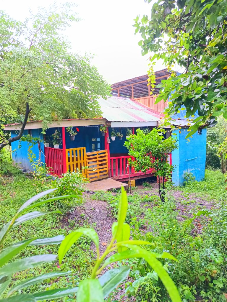 دوخوابه چوبی حامد