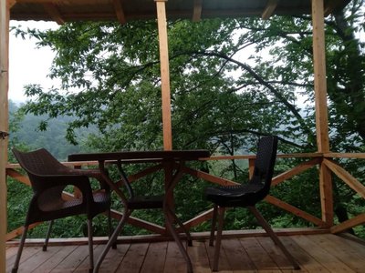 کلبه فلت بلوط 1