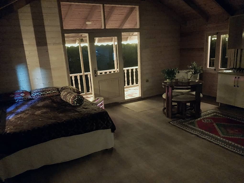 فلت جنگلی رایکا