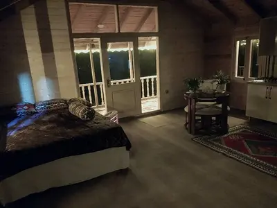 کلبه فلت جنگلی رایکا