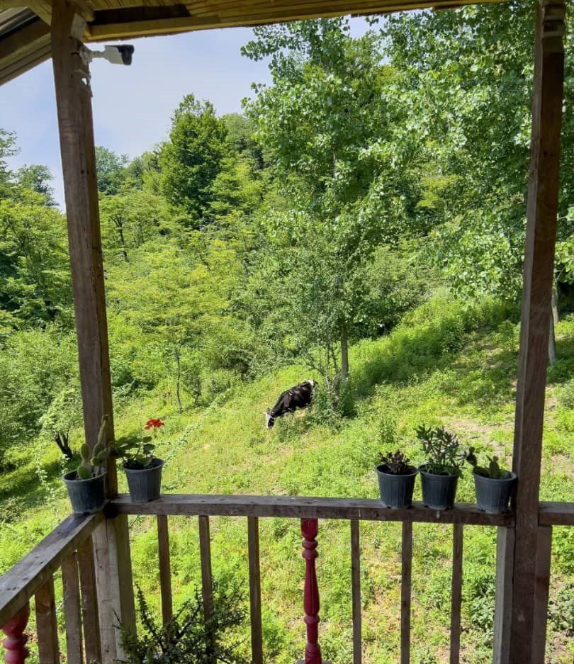 یک خوابه روجین