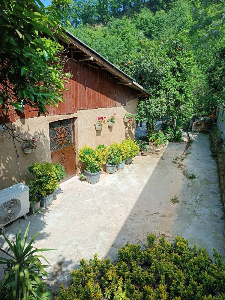 دوخوابه جنگلی شمشاد 2