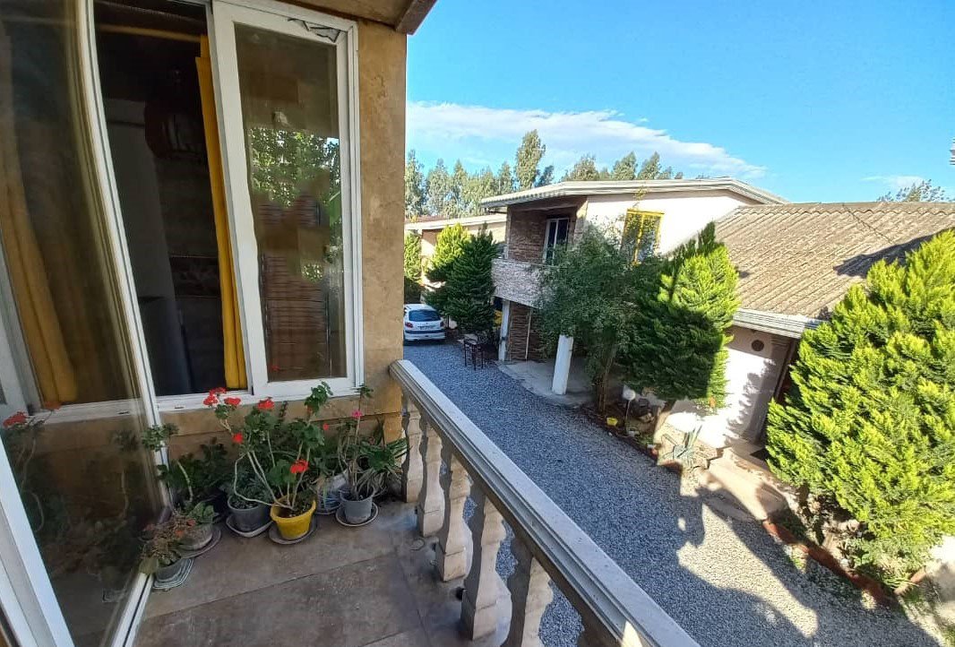 یک خوابه ساحلی زیتون 1