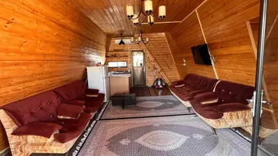 کلبه دوخوابه سوئیسی استخردار آبگرم کاج سبز