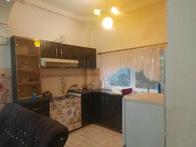 ویلا یک خوابه جنگلی سبز