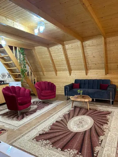 کلبه یک خوابه سوئیسی جکوزی دار دیاکو