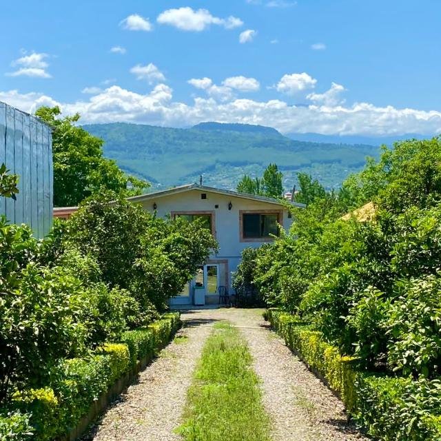 سوئیت یک خوابه ستاره شمالی