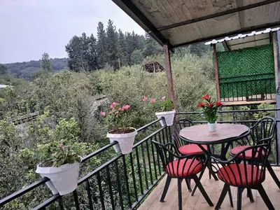 کلبه یک خوابه چوبی ثنا