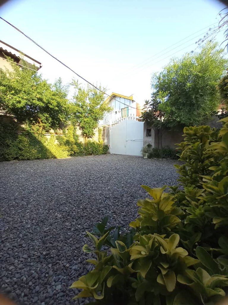 سوئیت فلت موج دریا