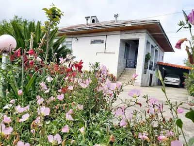 ویلا یک خوابه کلان