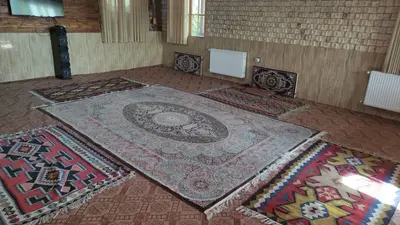 بومگردی یونا - واحد 6