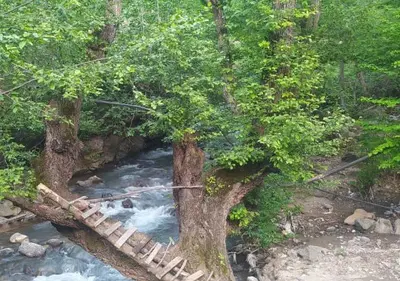 بومگردی رودخانه کوهستان - واحد 2