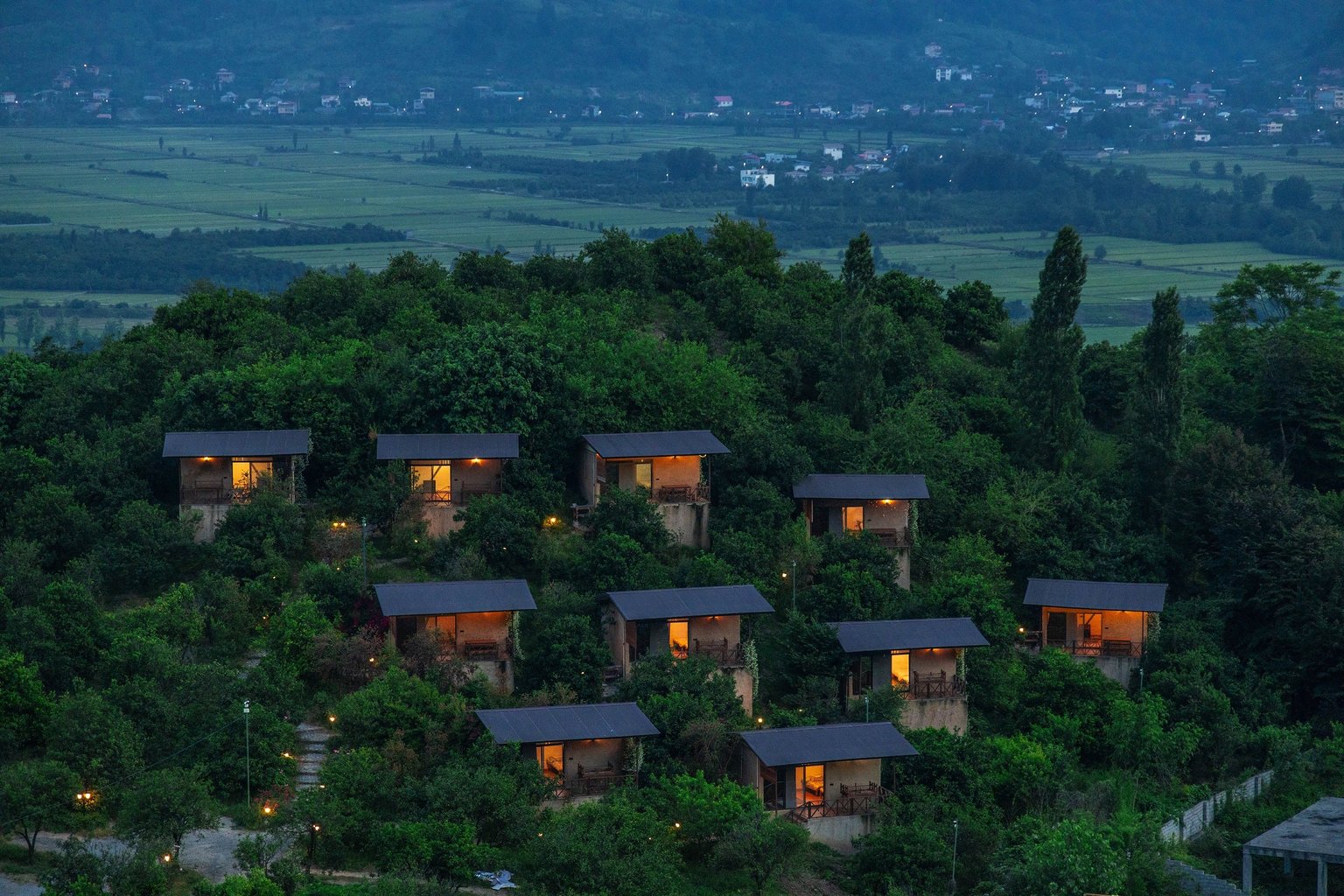 فلت ویشارده