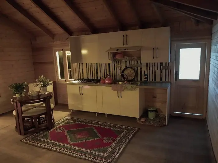 کلبه فلت جنگلی رایکا