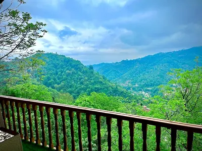 کلبه یک خوابه جنگلی صادقی 2