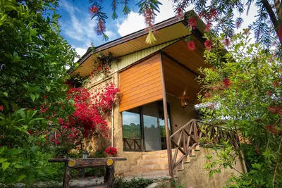 کلبه فلت ویشارده