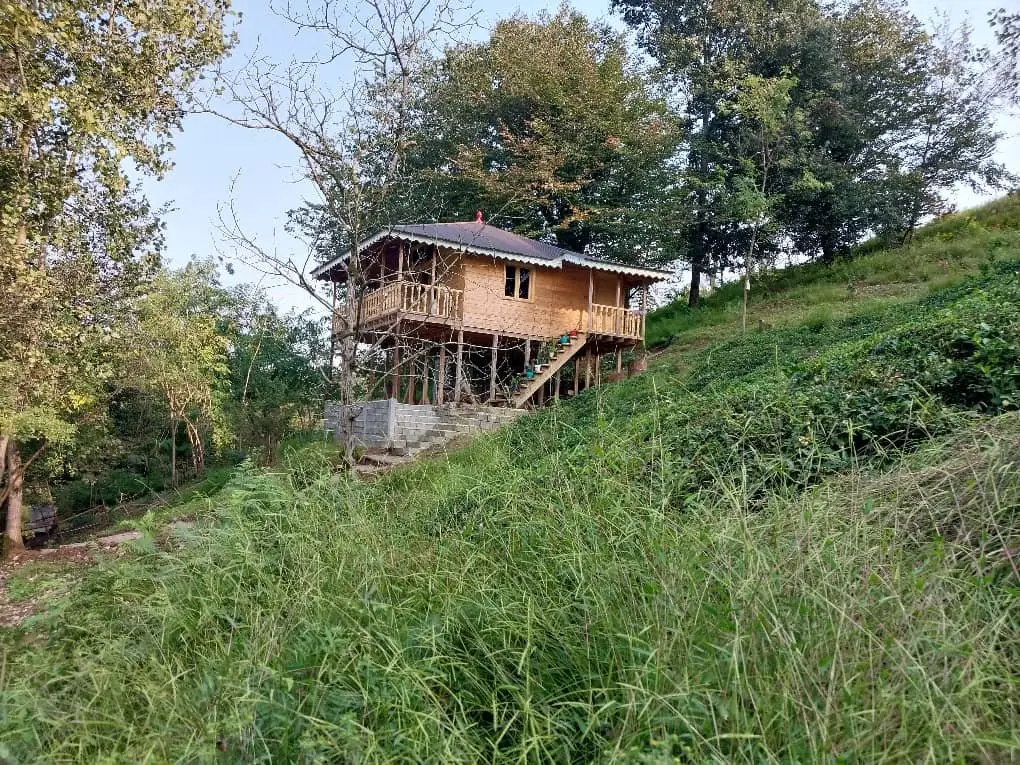 کلبه فلت جنگلی رایکا