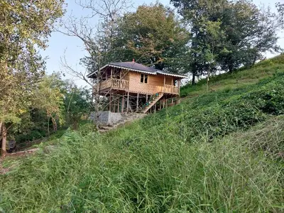 کلبه فلت جنگلی رایکا