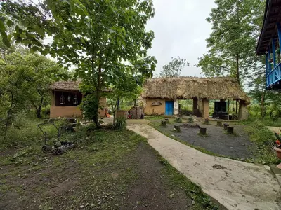 بومگردی الا تی تی - واحد بهار