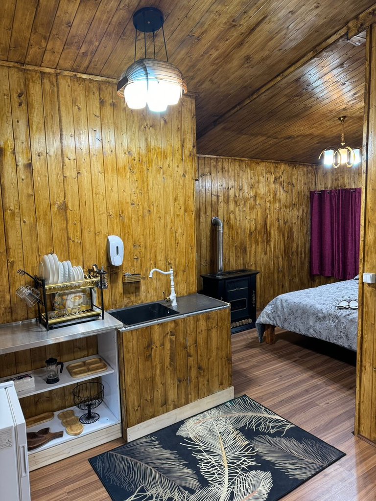 فلت توریستی vip آریا