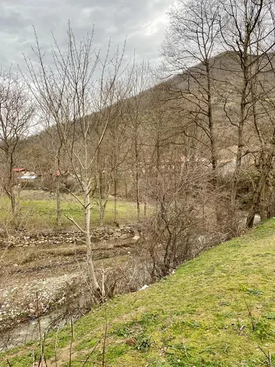 کلبه یک خوابه جنگلی خورشید 2