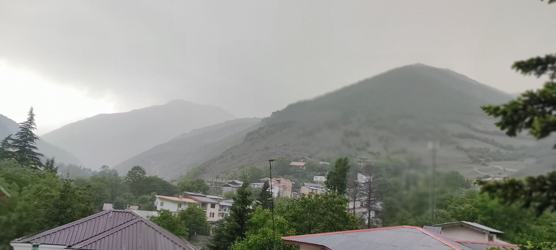 دوخوابه کوهستانی کاج