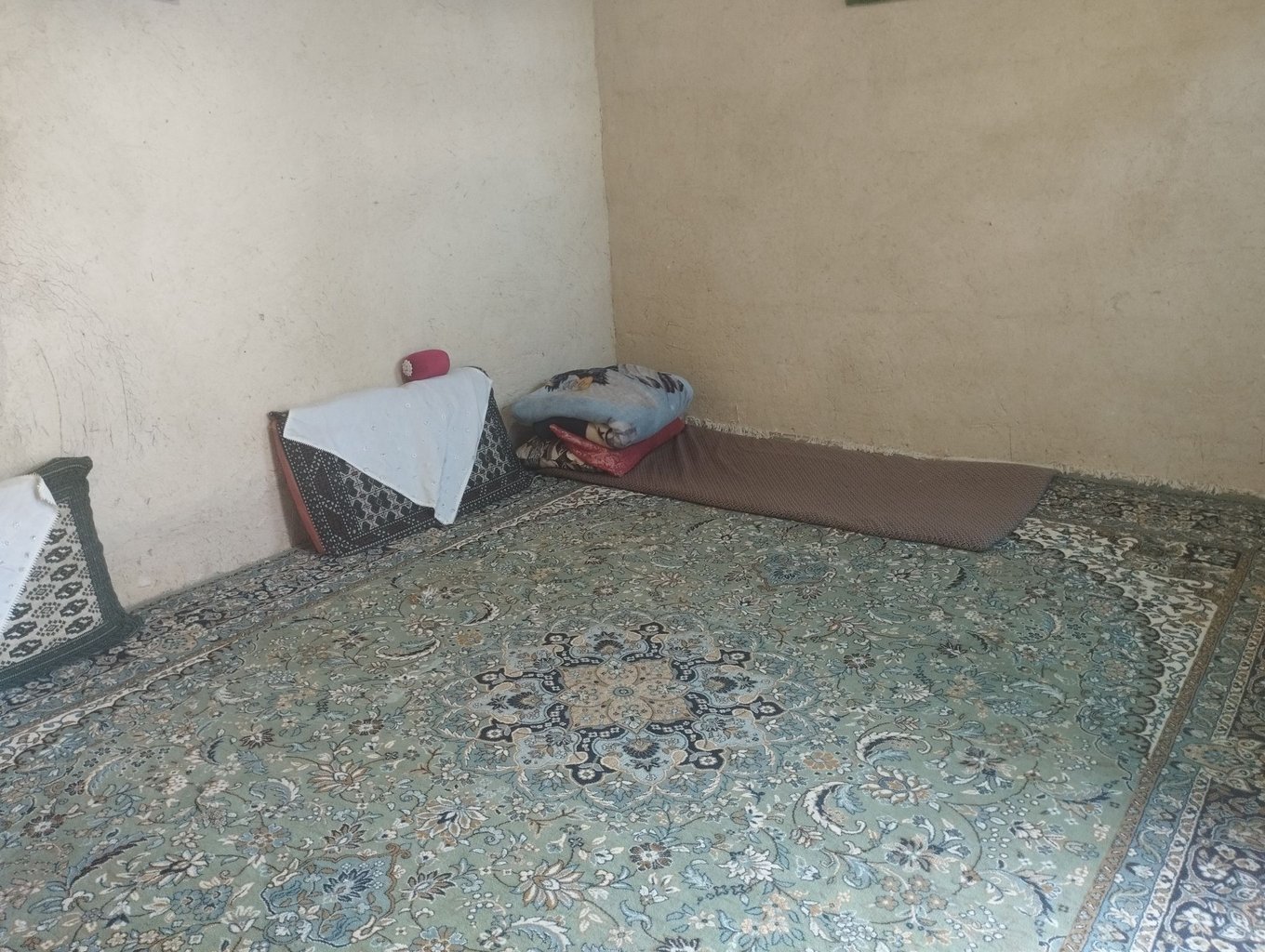 بومگردی ترنج - واحد شولیز