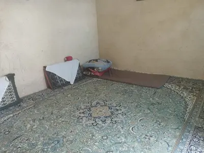 بومگردی ترنج - واحد شولیز