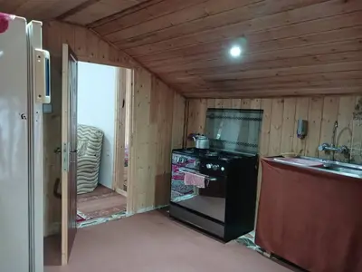 سوئیت یک خوابه طبیعت 4